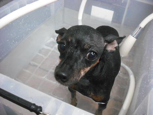 ファイル 685-1.jpg