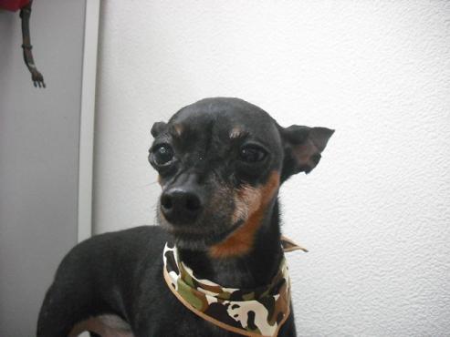 ファイル 685-2.jpg