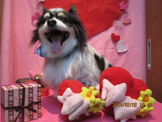 ファイル 6850-2.jpg