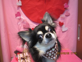 ファイル 6851-2.jpg