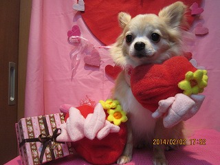 ファイル 6852-1.jpg