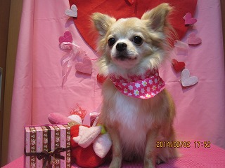 ファイル 6852-2.jpg