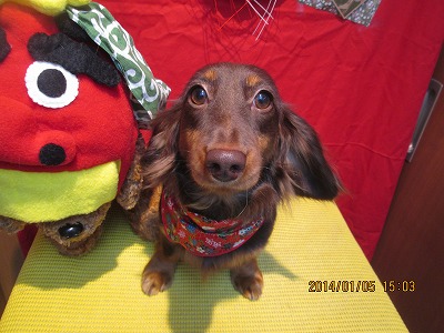 ファイル 6854-1.jpg