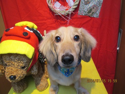 ファイル 6855-2.jpg