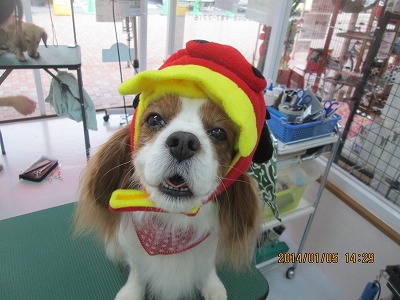 ファイル 6856-1.jpg