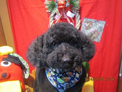 ファイル 6857-1.jpg