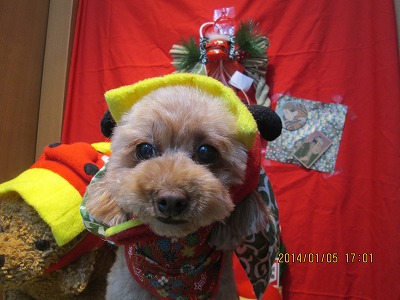 ファイル 6859-1.jpg