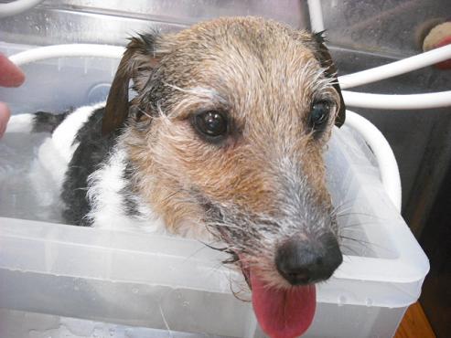 ファイル 686-2.jpg