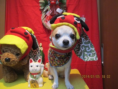 ファイル 6860-1.jpg