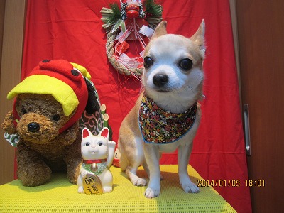 ファイル 6860-2.jpg