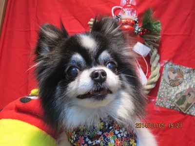 ファイル 6861-1.jpg