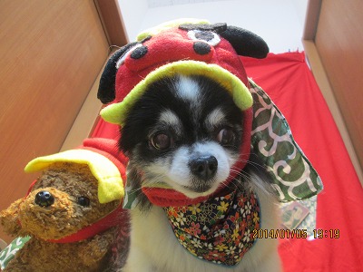 ファイル 6861-2.jpg