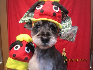 ファイル 6862-1.jpg