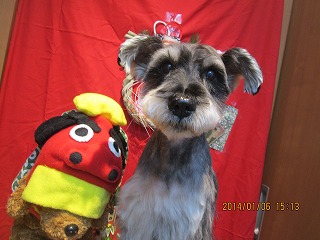 ファイル 6862-2.jpg