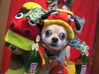 ファイル 6863-2.jpg