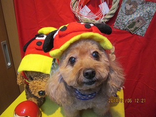 ファイル 6864-1.jpg