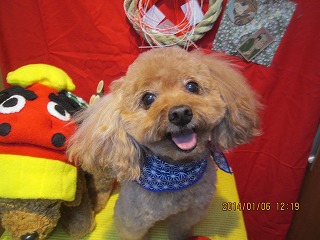 ファイル 6864-2.jpg