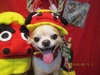 ファイル 6865-1.jpg