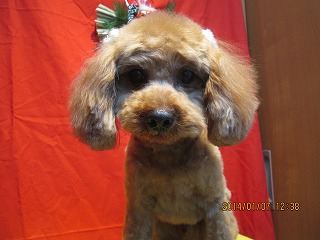 ファイル 6867-2.jpg