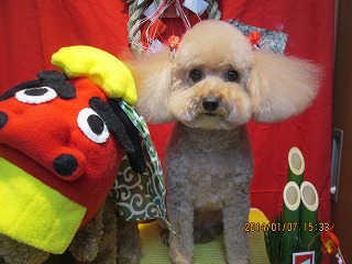 ファイル 6868-2.jpg