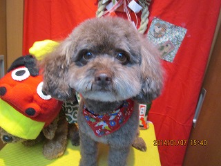 ファイル 6869-1.jpg