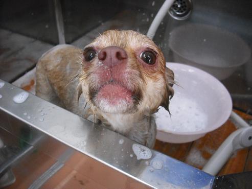 ファイル 687-2.jpg