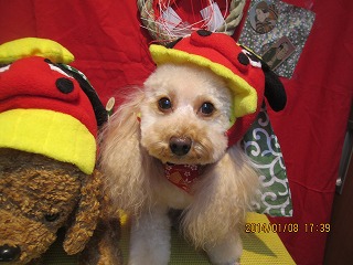 ファイル 6870-1.jpg