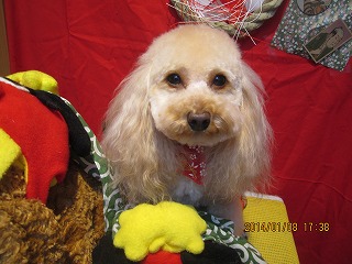 ファイル 6870-2.jpg