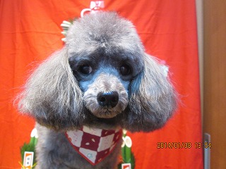 ファイル 6871-2.jpg