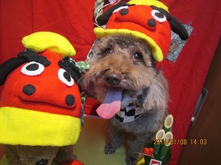 ファイル 6872-1.jpg