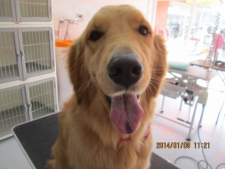 ファイル 6874-2.jpg