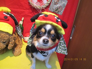 ファイル 6875-1.jpg