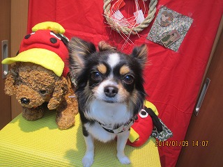 ファイル 6875-2.jpg