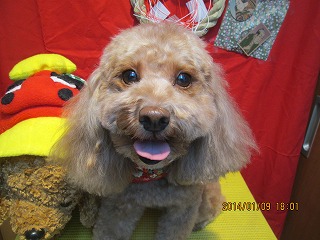 ファイル 6876-2.jpg