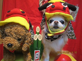 ファイル 6877-1.jpg