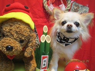 ファイル 6877-2.jpg