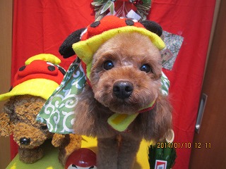 ファイル 6878-1.jpg