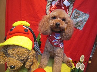 ファイル 6878-2.jpg