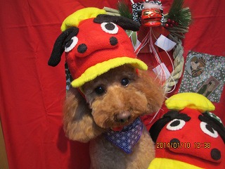 ファイル 6879-1.jpg