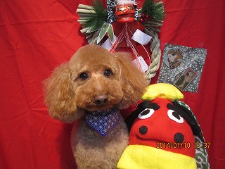 ファイル 6879-2.jpg