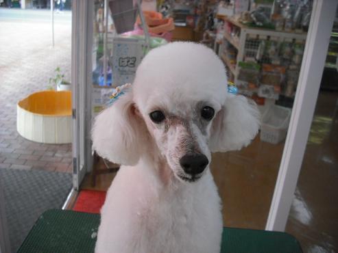 ファイル 688-1.jpg