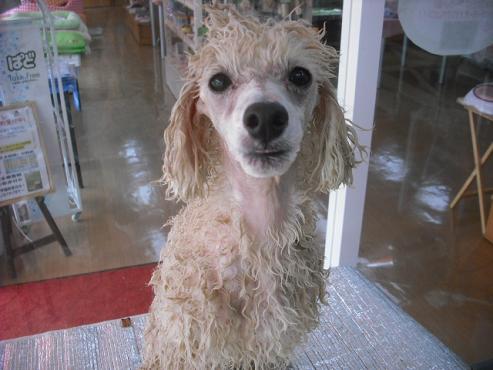 ファイル 688-2.jpg