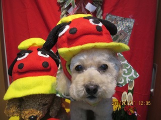 ファイル 6880-1.jpg