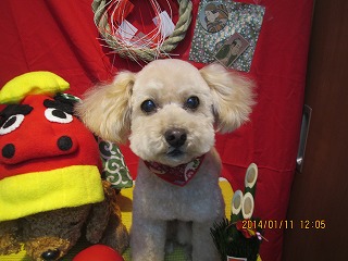 ファイル 6880-2.jpg