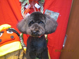 ファイル 6881-2.jpg