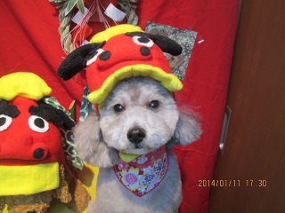 ファイル 6882-1.jpg