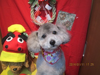 ファイル 6882-2.jpg