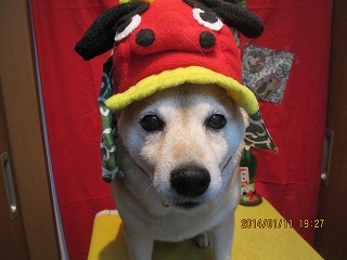 ファイル 6883-1.jpg