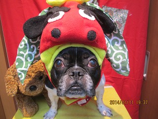 ファイル 6884-1.jpg