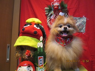 ファイル 6887-1.jpg